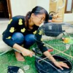 Cara menjaga kebersihan kandang burung kicau